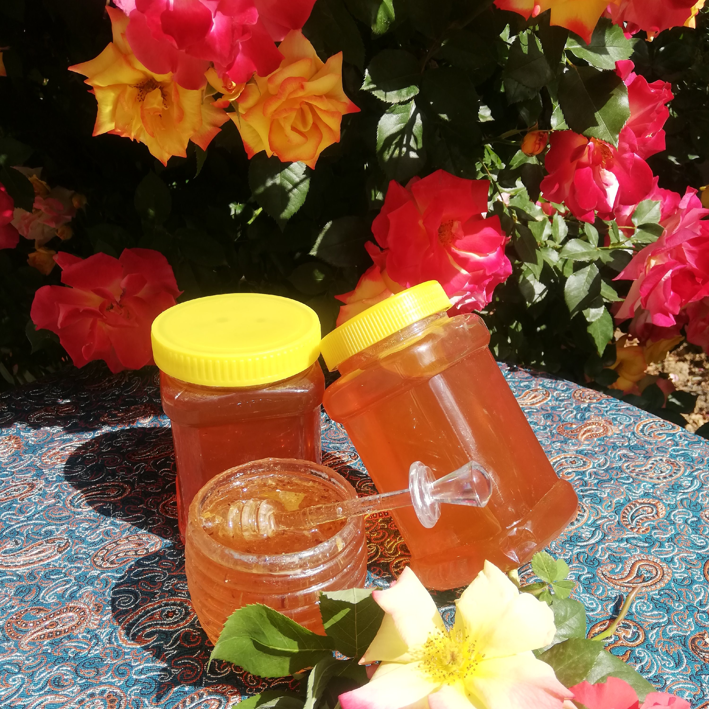 عسل کنار ( ب شرط آزمایشگاه) (ارسال رایگان)