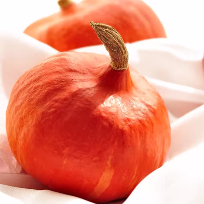 بذر کدو تنبل قلبی5عددی