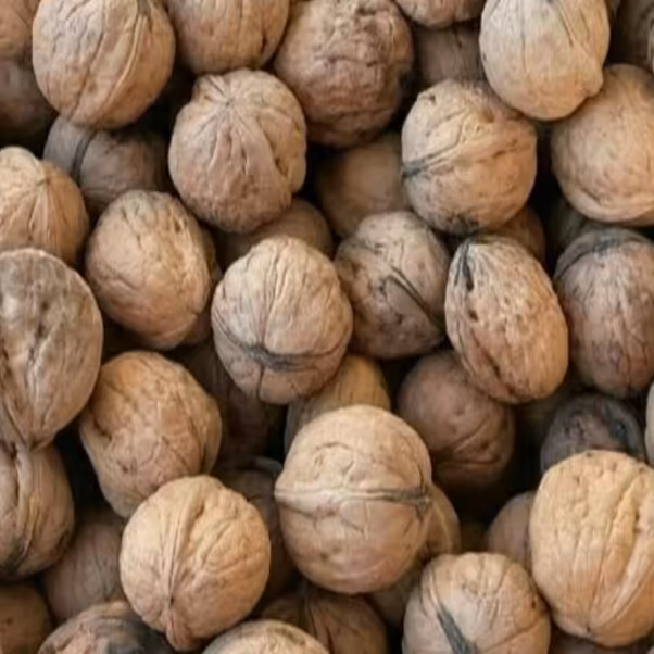 گردو بلغاری یک کیلو گرم 