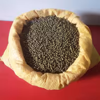 ماش محلی چهارمحال بختیاری ارگانیک زود پز(800گرمی)