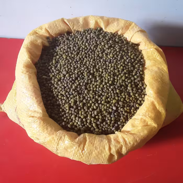 ماش محلی چهارمحال بختیاری ارگانیک زود پز(800گرمی)