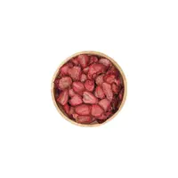 میوه خشک توت فرنگی اسلایس (1کیلوگرم) گوگونات 