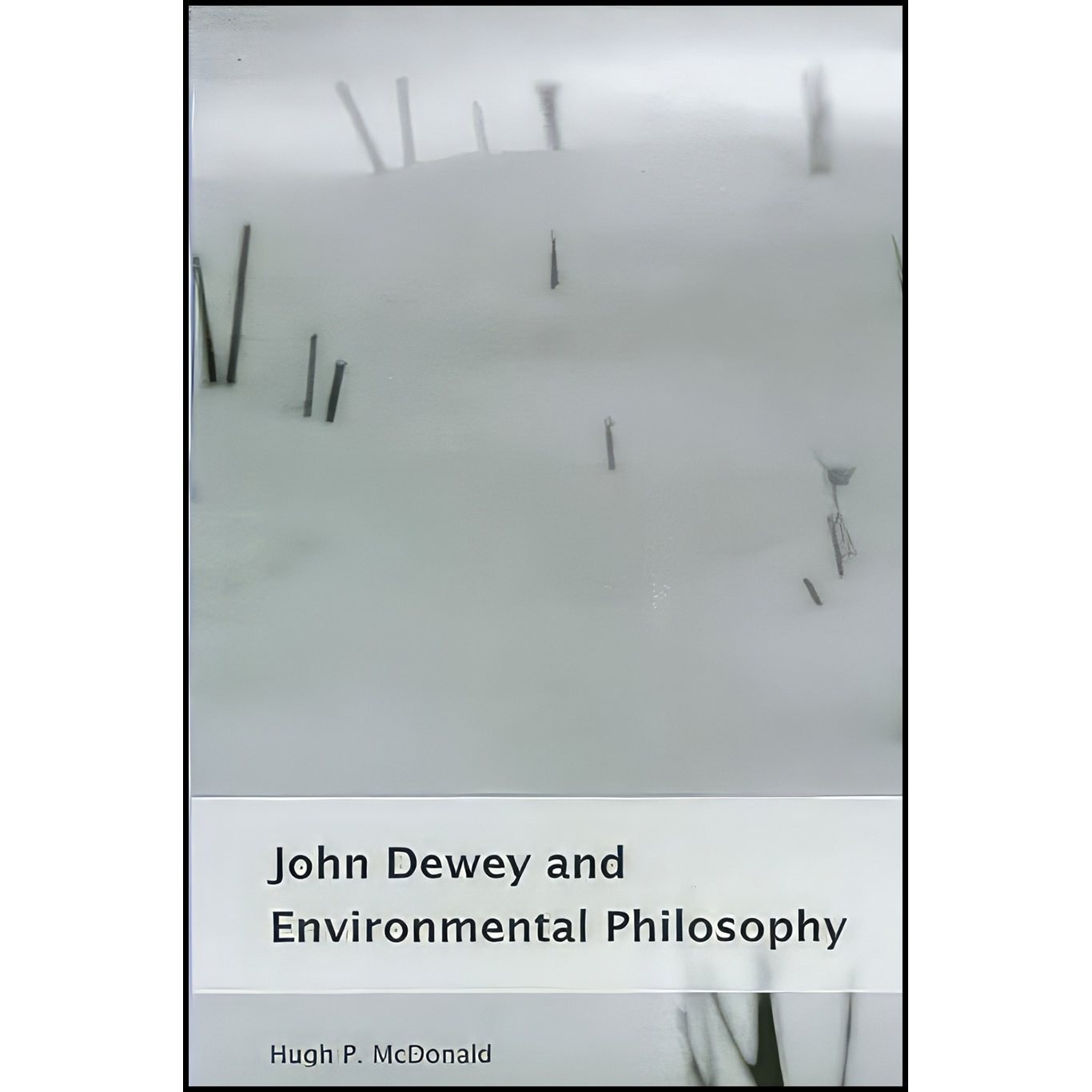 کتاب زبان اصلی John Dewey and Environmental Philosophy اثر H P McDonald