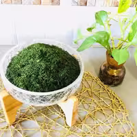 شویدخشک  100 گرمی جیکا