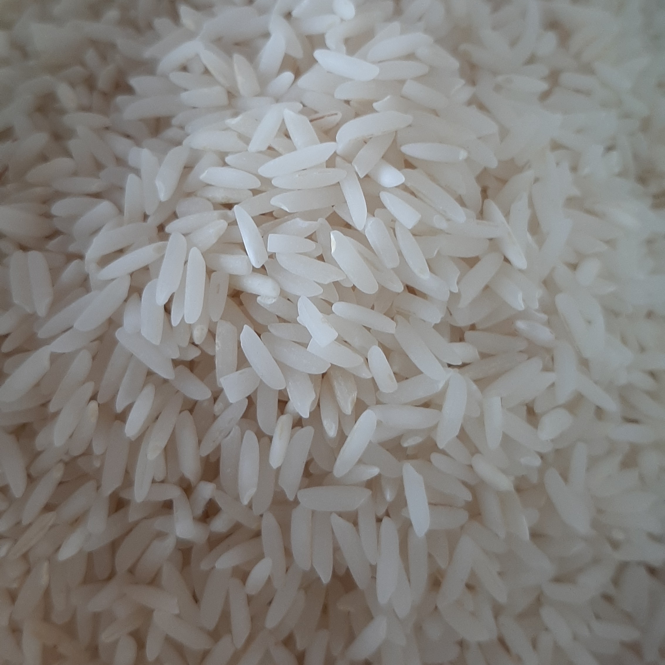 برنج هاشمی  آستانه اشرفیه محصول 1403 (پس کرایه)