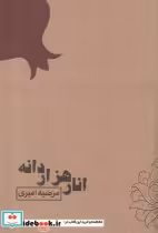 قیمت و خرید کتاب انار هزار دانه اثر مرضیه امیری | ایده بوک