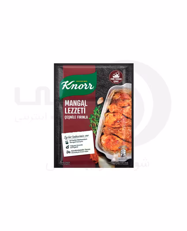 چاشنی مرغ باربیکیو کنور Knorr حاوی 8 ادویه 29 گرمی - فروشگاه اینترنتی افخمی