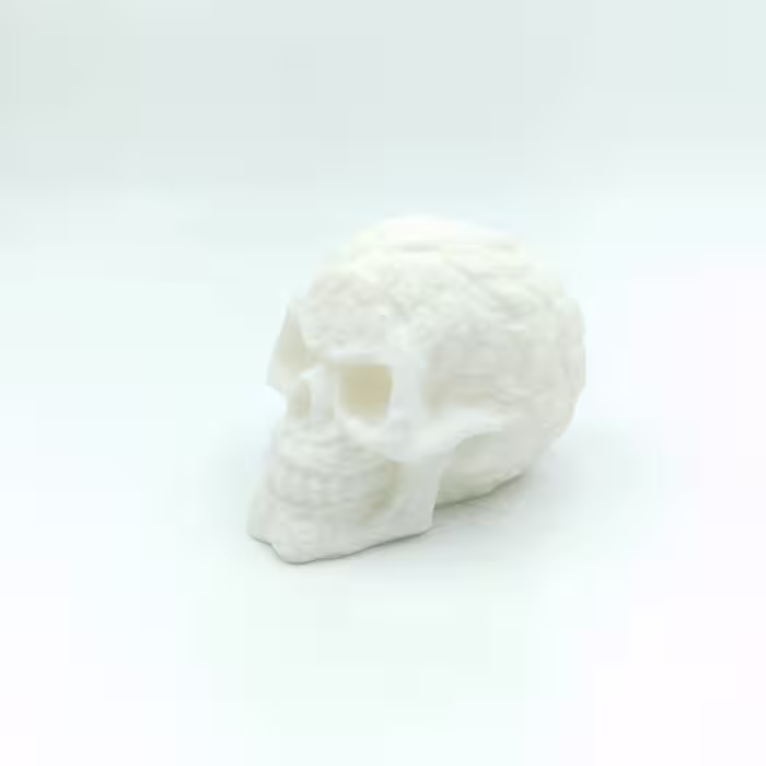 خرید اکشن فیگور اسکلت Skeleton Action Figure White با بهترین قیمت