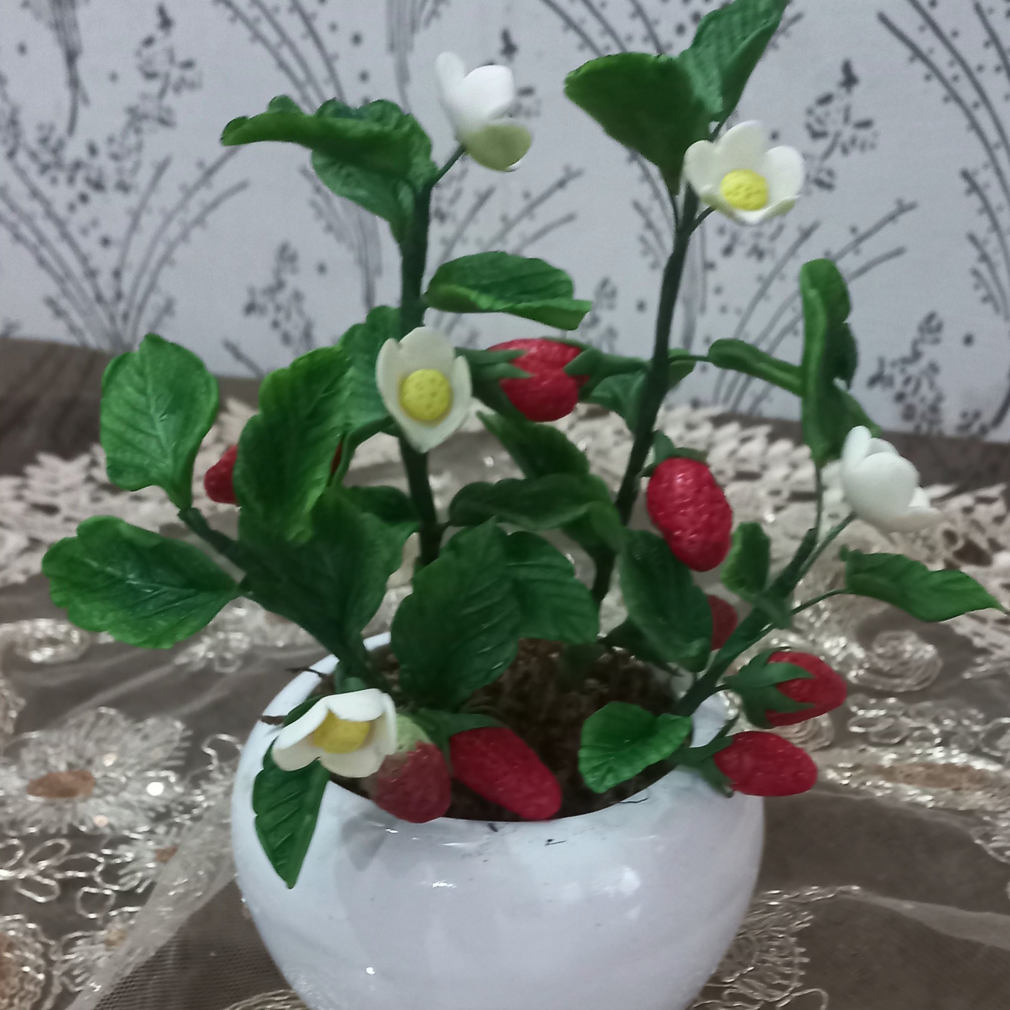 نهال توت فرنگی و میوه های دیگر
