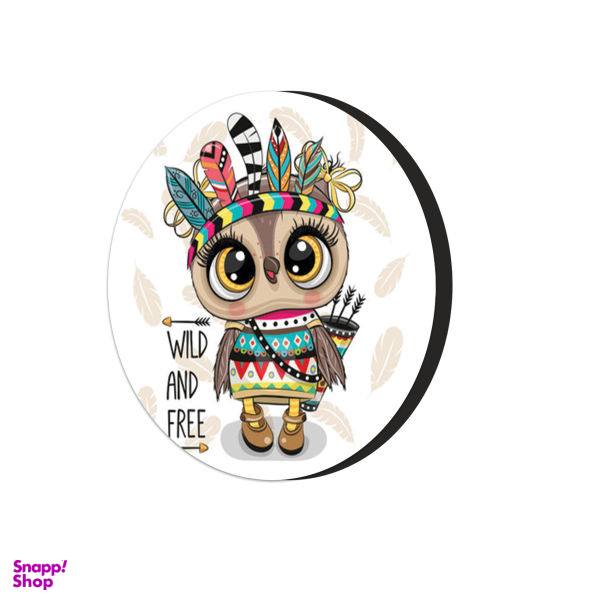 مگنت طرح جغد سرخ پوستی کد 2520481