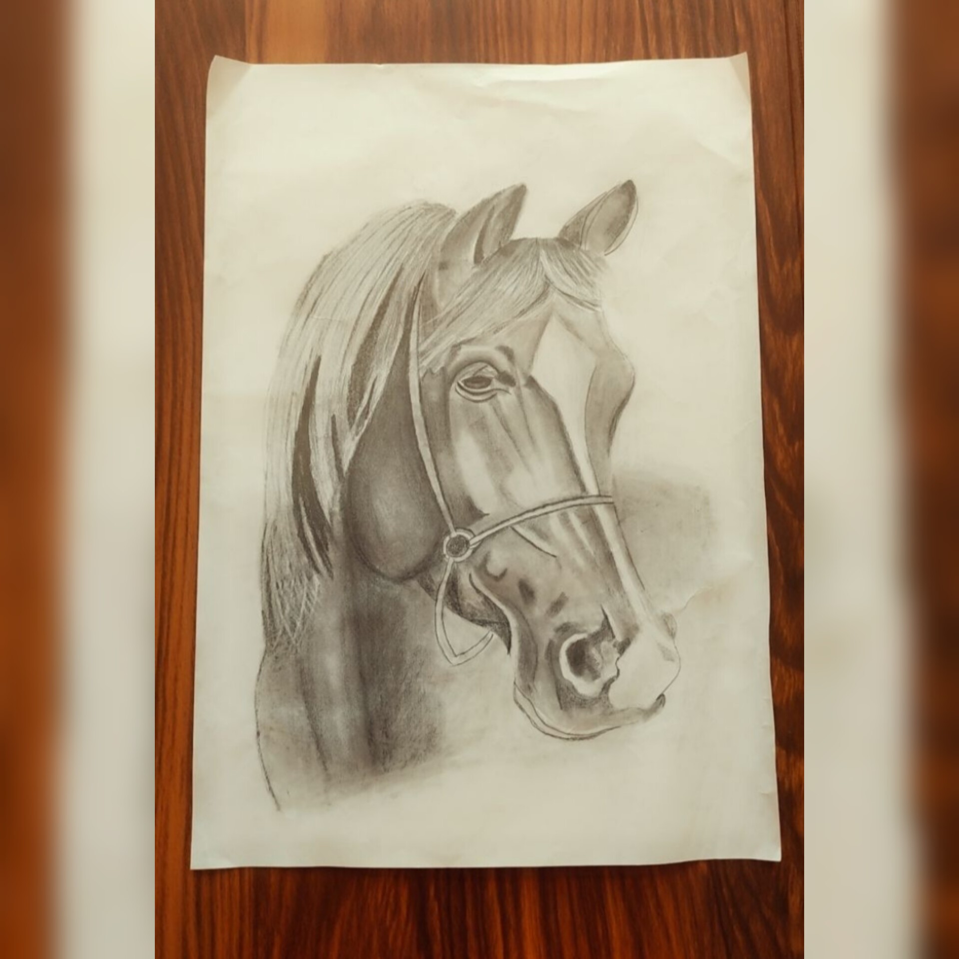 طرح سیاه قلم اسب