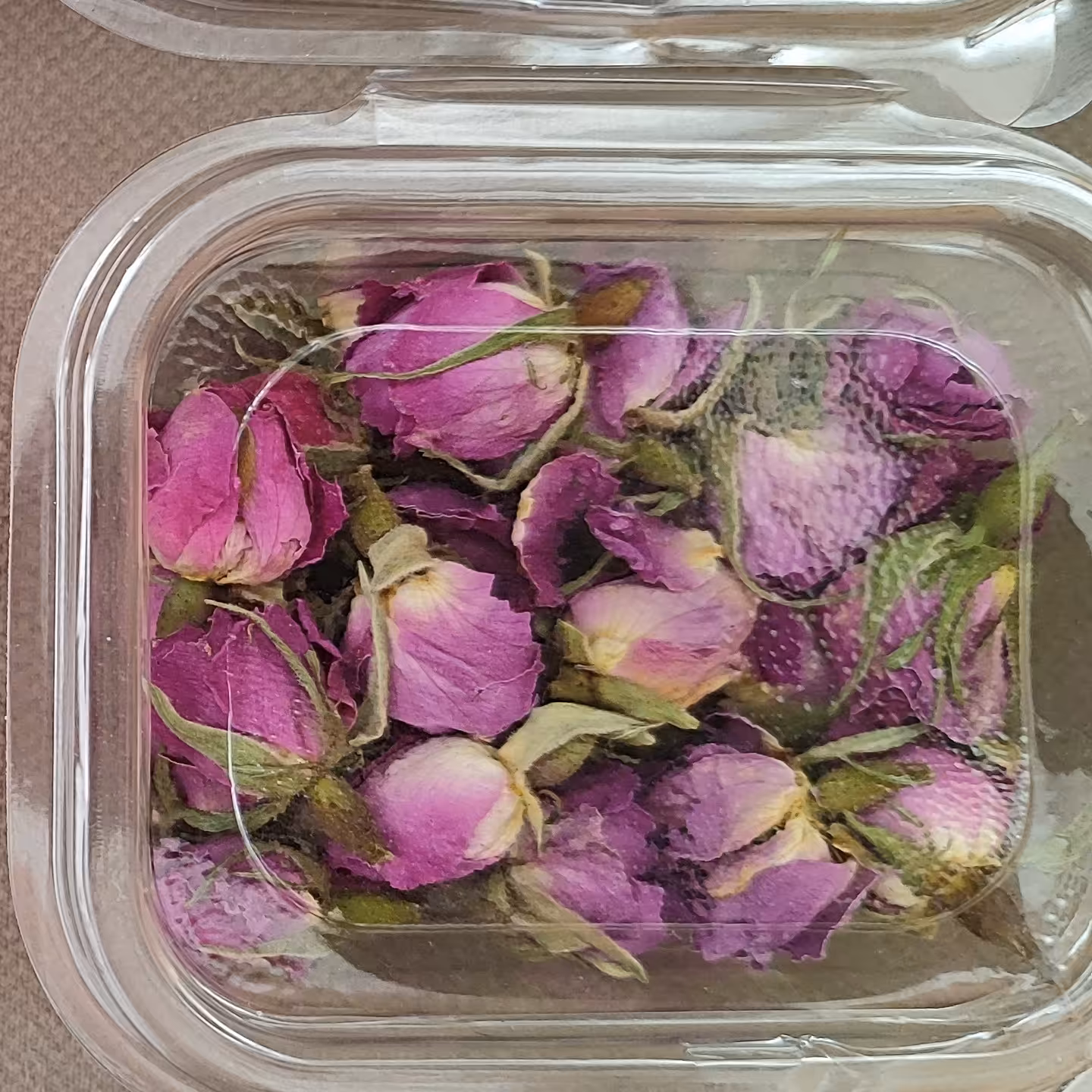 غنچه گل محمدی با عطر و بوی خوش که از دیر باز همه از این گل شگفت انگیز که سرشار از خاصیت می باشد استفاده میکنند