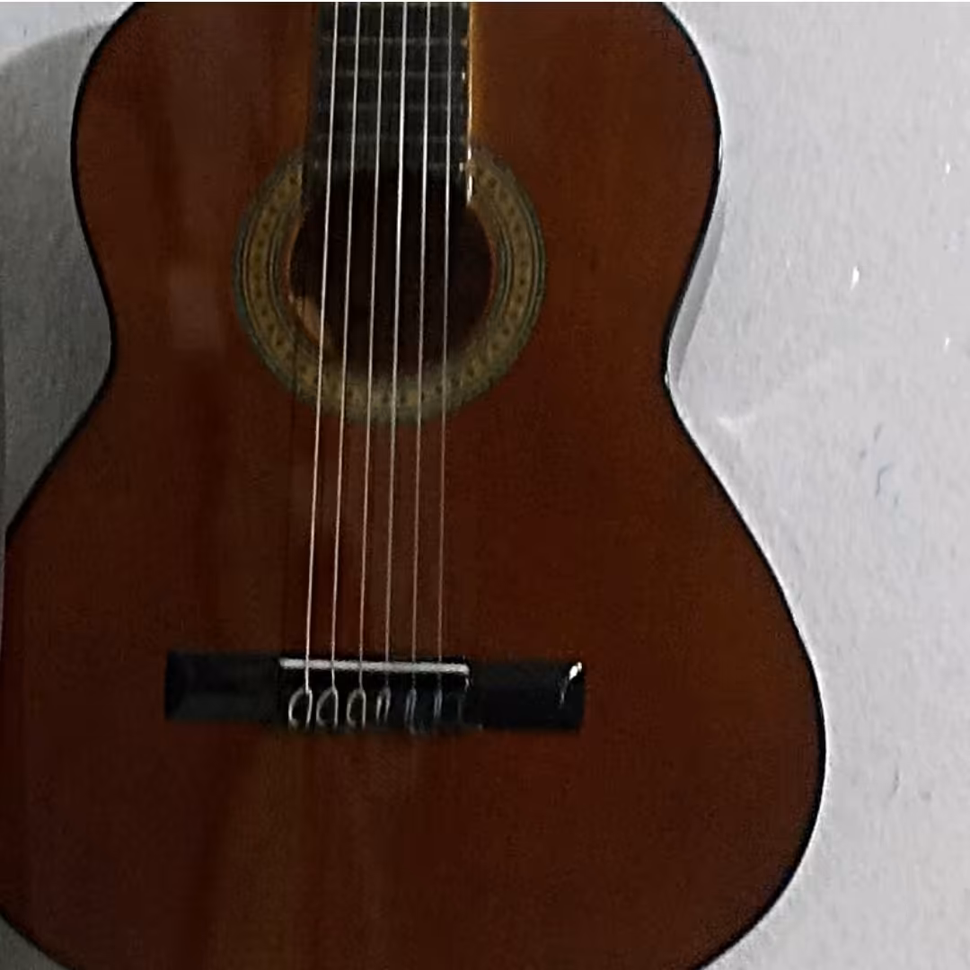 گیتار دیاموند حرفه ای