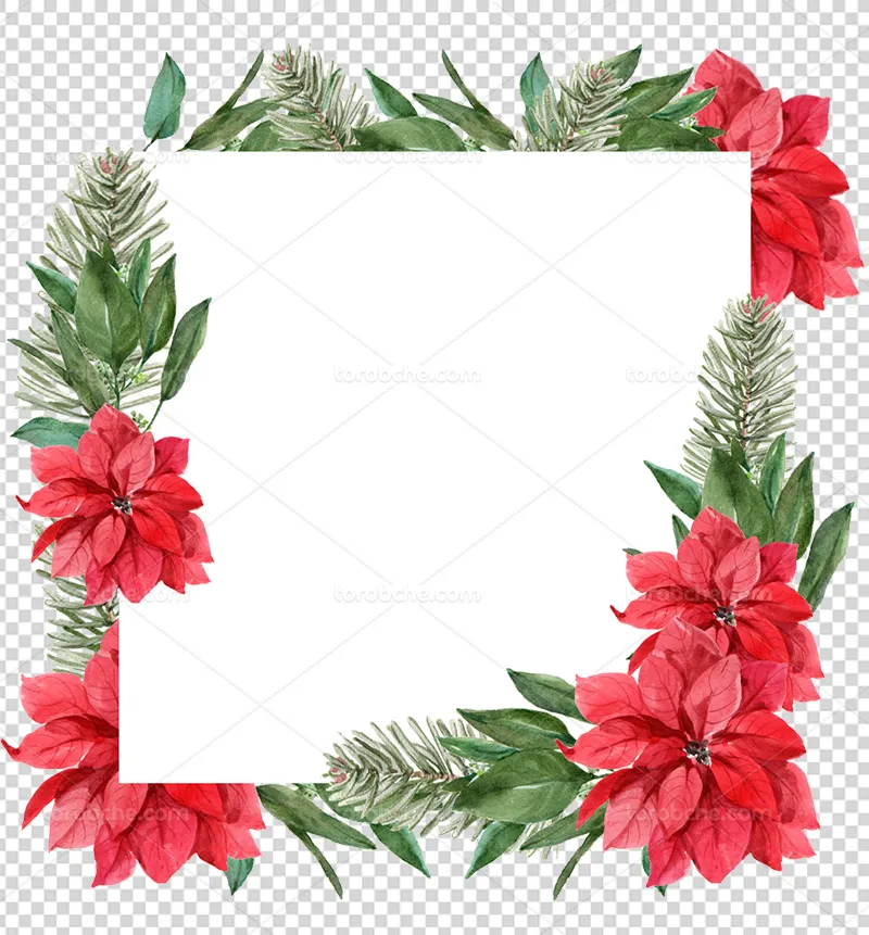 عکس PNG کادر گل قرمز | گرافیک با طعم تربچه