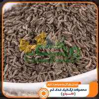 زیره سیاه ممتاز فدک (120گرم)