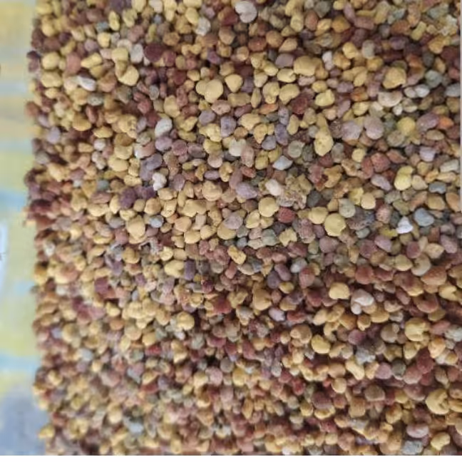 گرده گل چند گیاه 