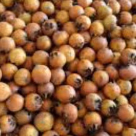 شیره ازگیل جنگلی(ترشی کندس) 