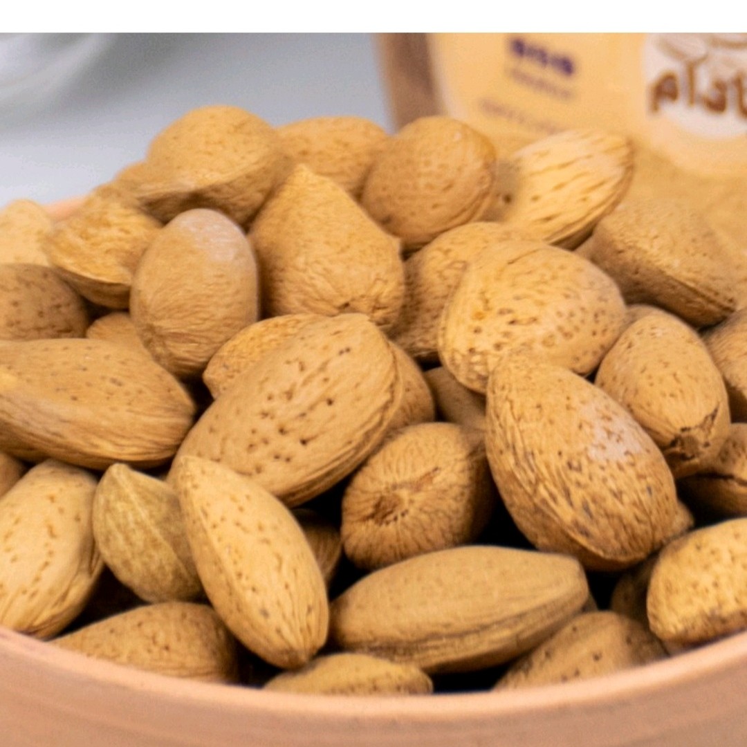 بادام درختی دیم