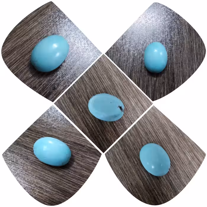 فیروزه نیشابور طبیعی ، قواره دار و پاک و تمام مغز ، جواهر واقعی به ضمانت معدنی و بدون احیا ، 20 میلیمتری