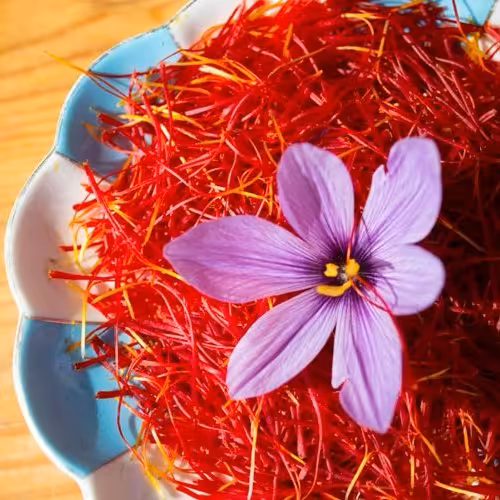 زعفران نگین قائنات یک مثقال