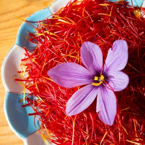 زعفران نگین قائنات یک مثقال