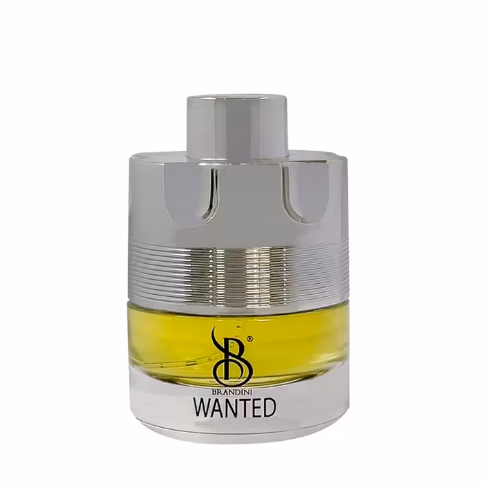 عطر جیبی مردانه برندینی مدل wanted حجم 25 میلی لیتر