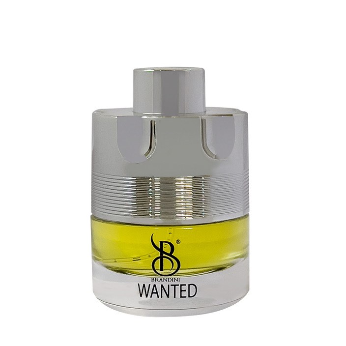 عطر جیبی مردانه برندینی مدل wanted حجم 25 میلی لیتر
