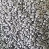 لوبیا سیاه خمین تینابار