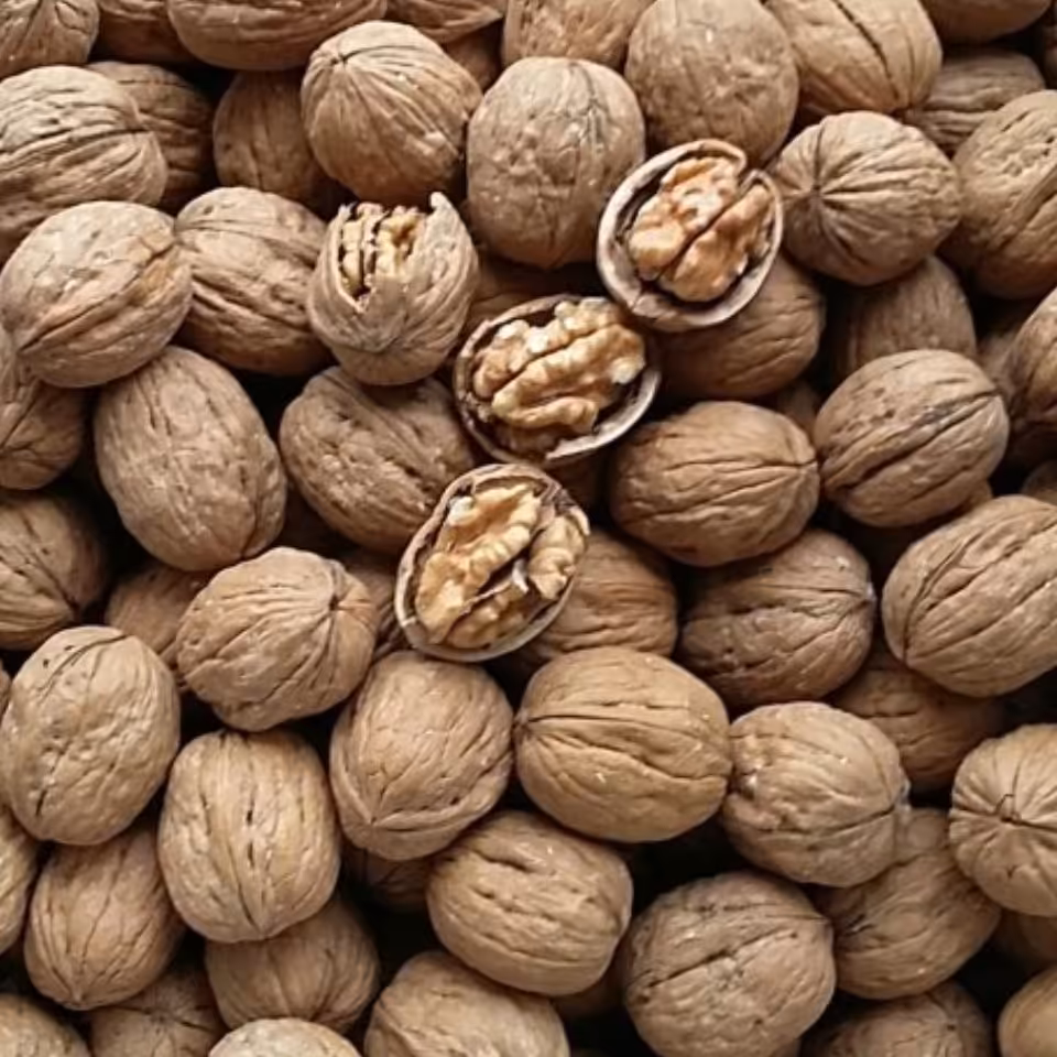 گردو پوست کاغذی امسالی 900 گرمی