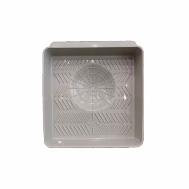 لگن لانه طوطی برزیلی و مرغ عشق