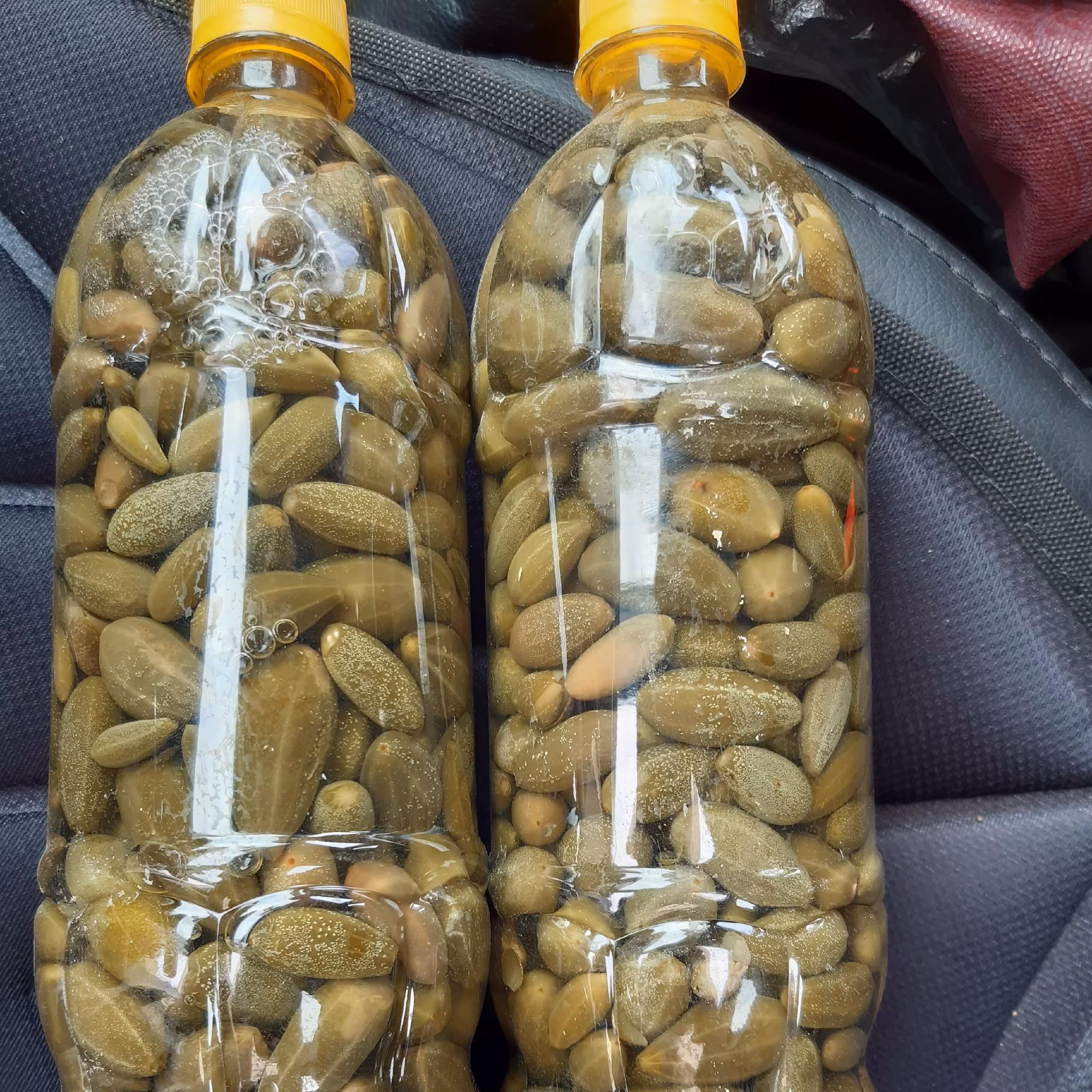 ترشی هندوانه ابوجهل یا ترشی گلگ یا شپله در بطری و ریز بدون تلخی و ارگانیک و