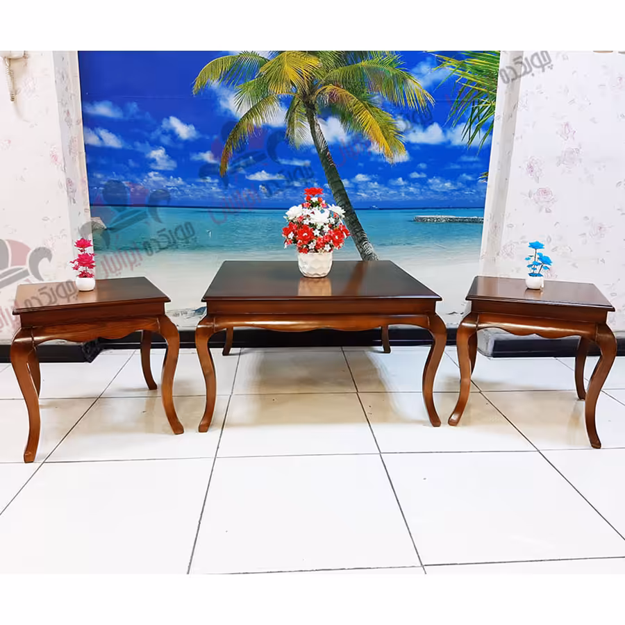 میز جلو مبلی و عسلی پانیذ