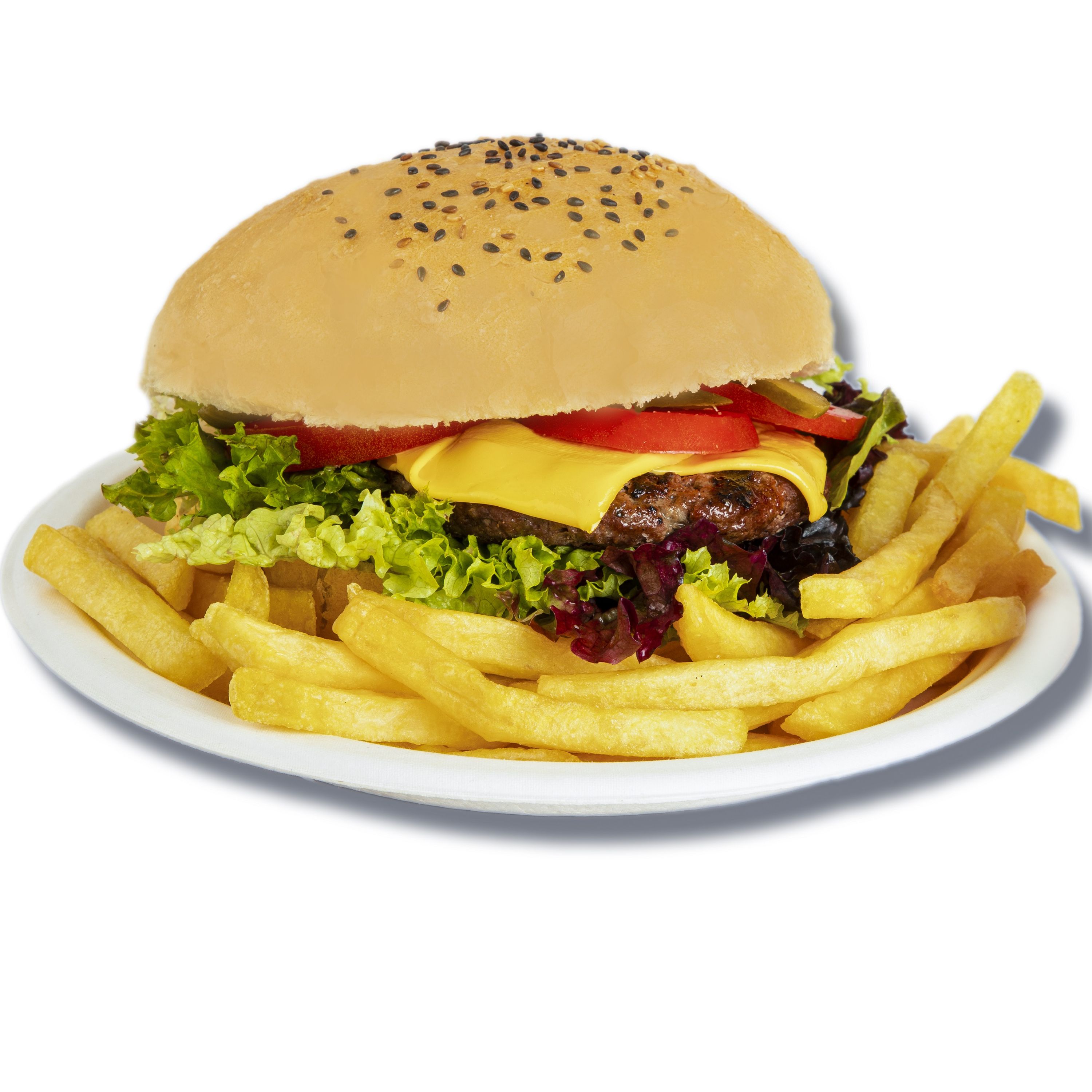 بشقاب یکبار مصرف 7 اینچ یک کارتن 750 عددی