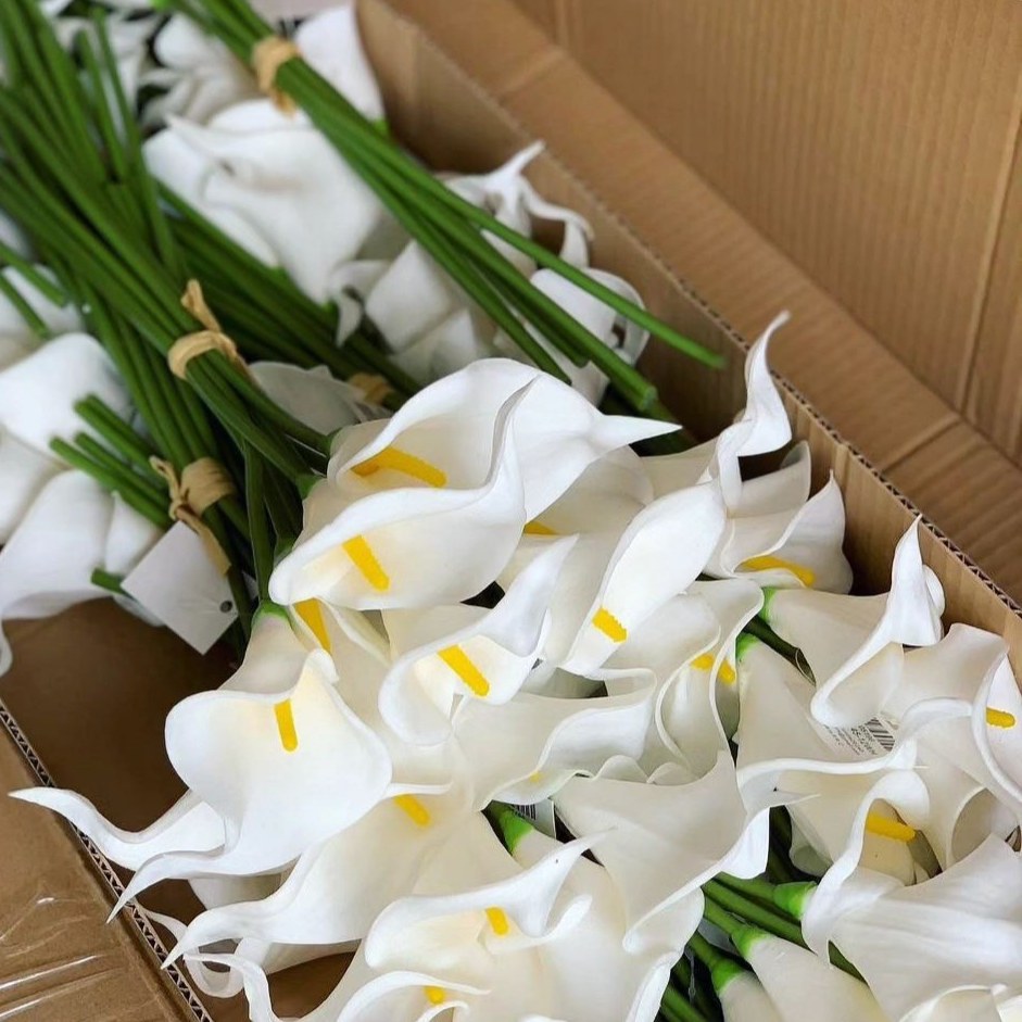 گل شیپوری وارداتی