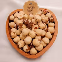 فندق بدون پوست آدان