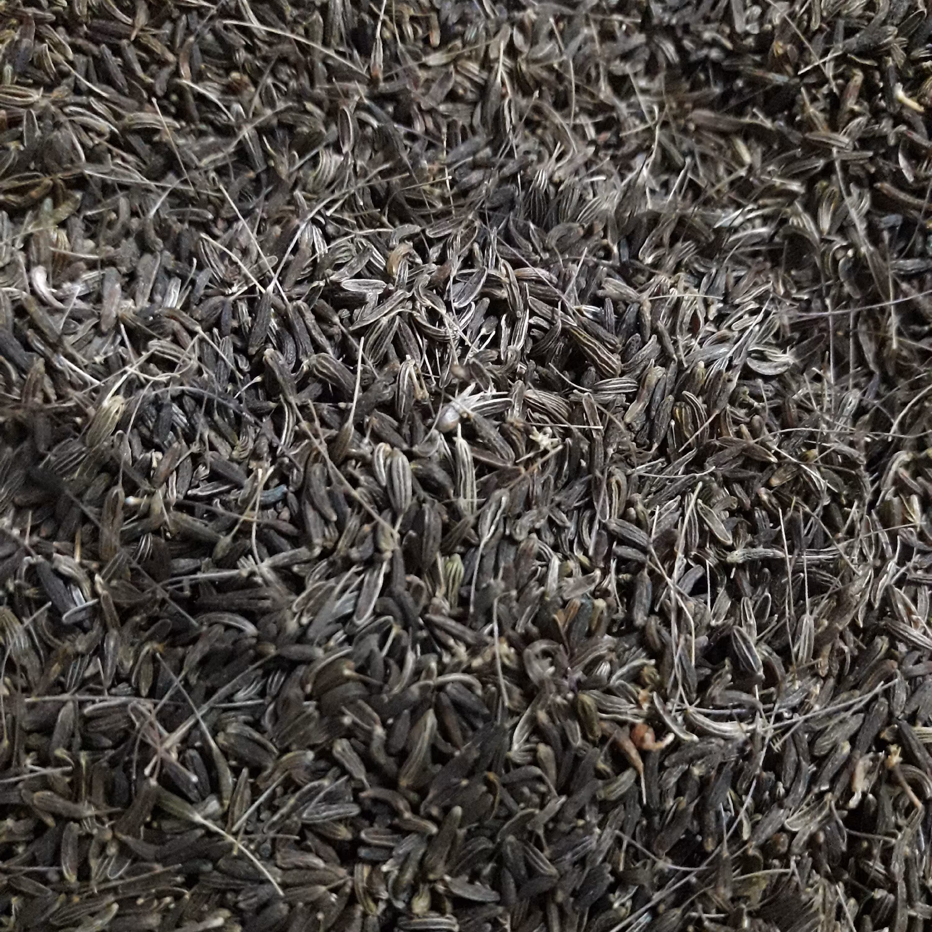 زیره سیاه  کوهی (50گرمی)