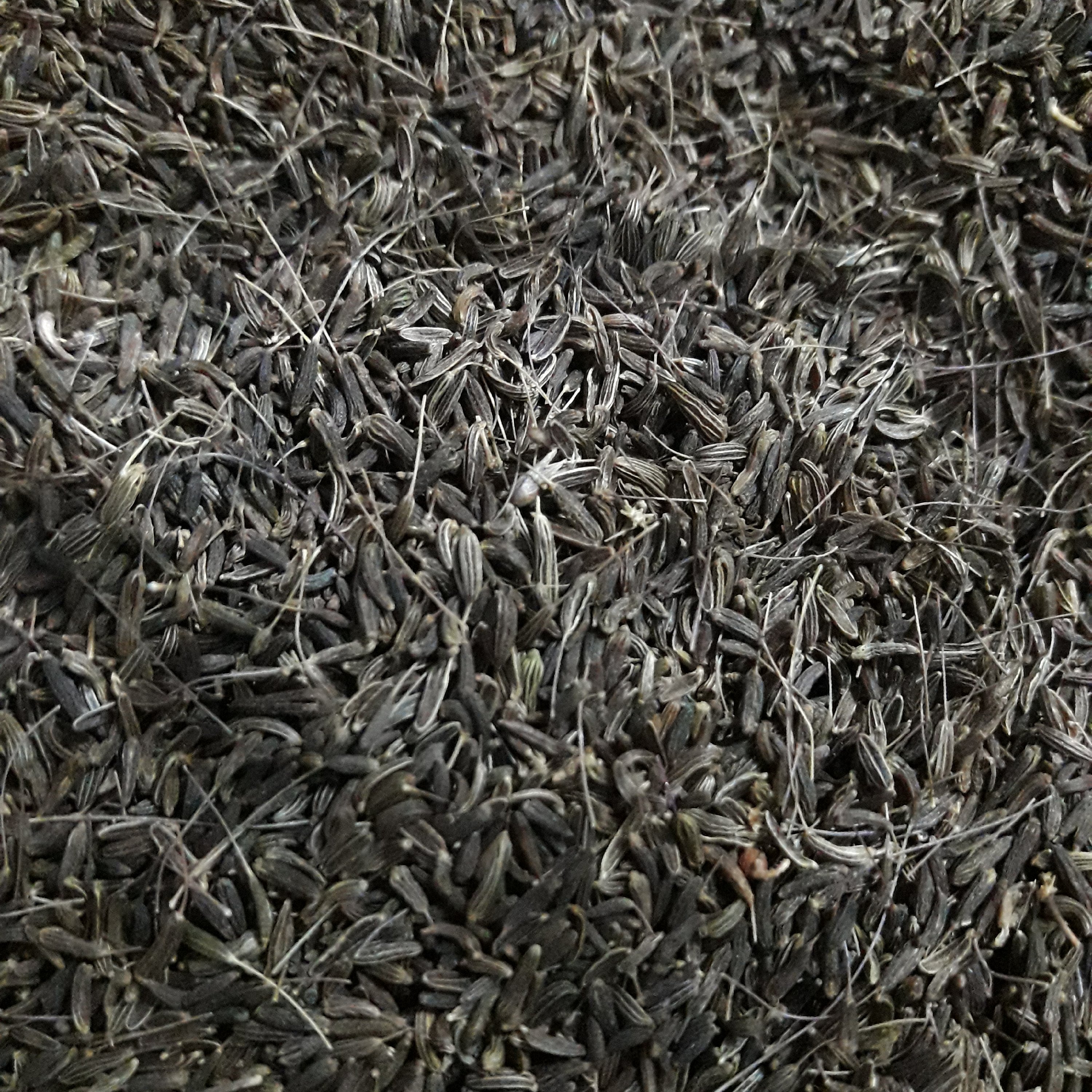 زیره سیاه  کوهی (50گرمی)