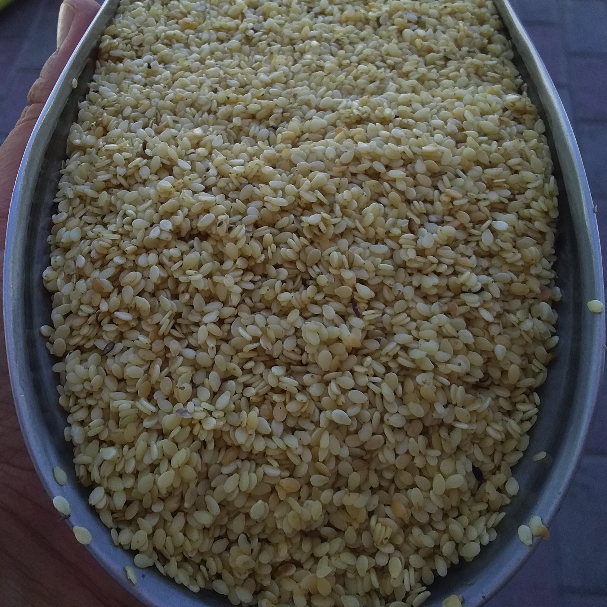 بهترین قیمت کنجد سفید ایرانی چرب پنج کیلو، مخصوص ارده و روغن گیری بهترین قیمت