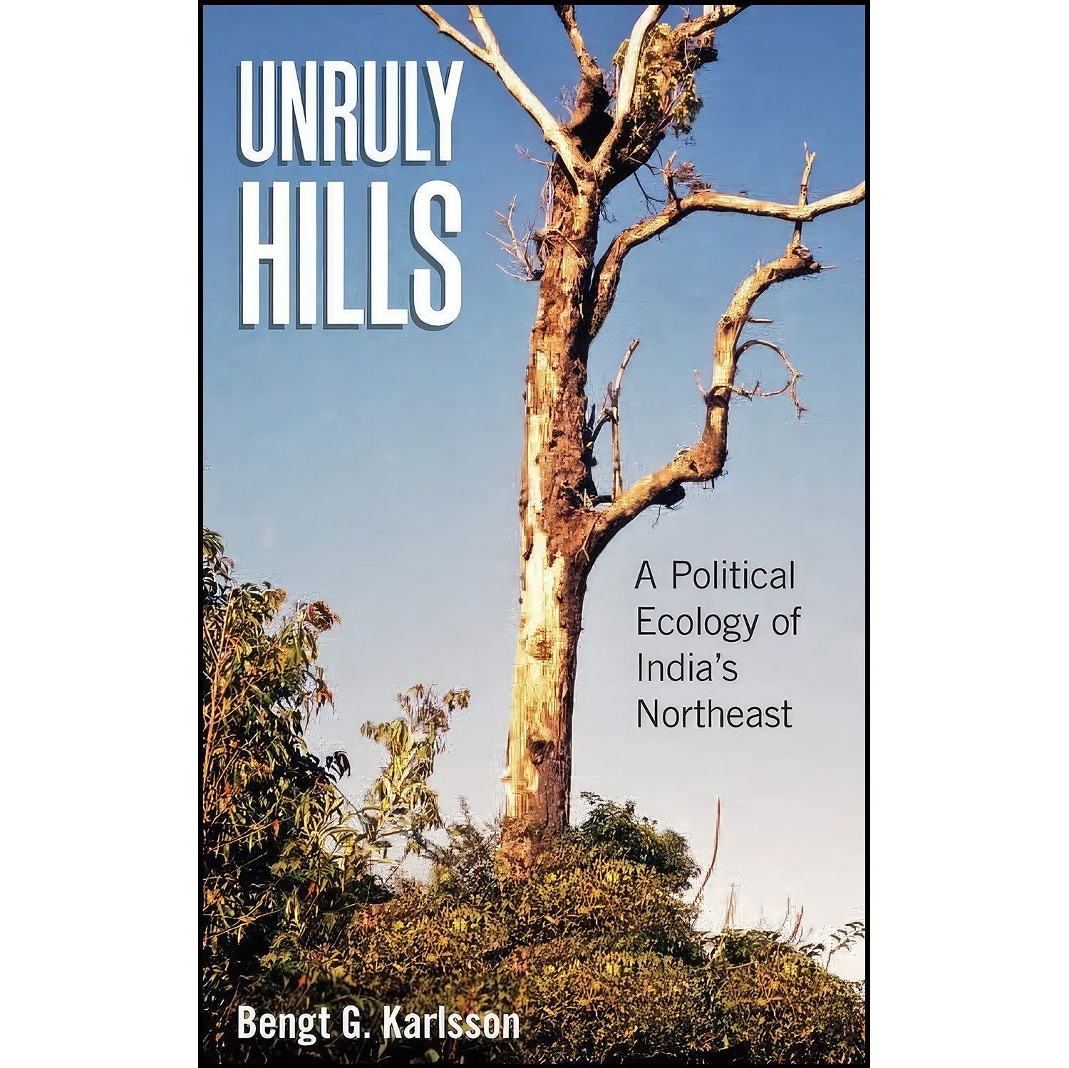 کتاب زبان اصلی Unruly Hills اثر B G Karlsson