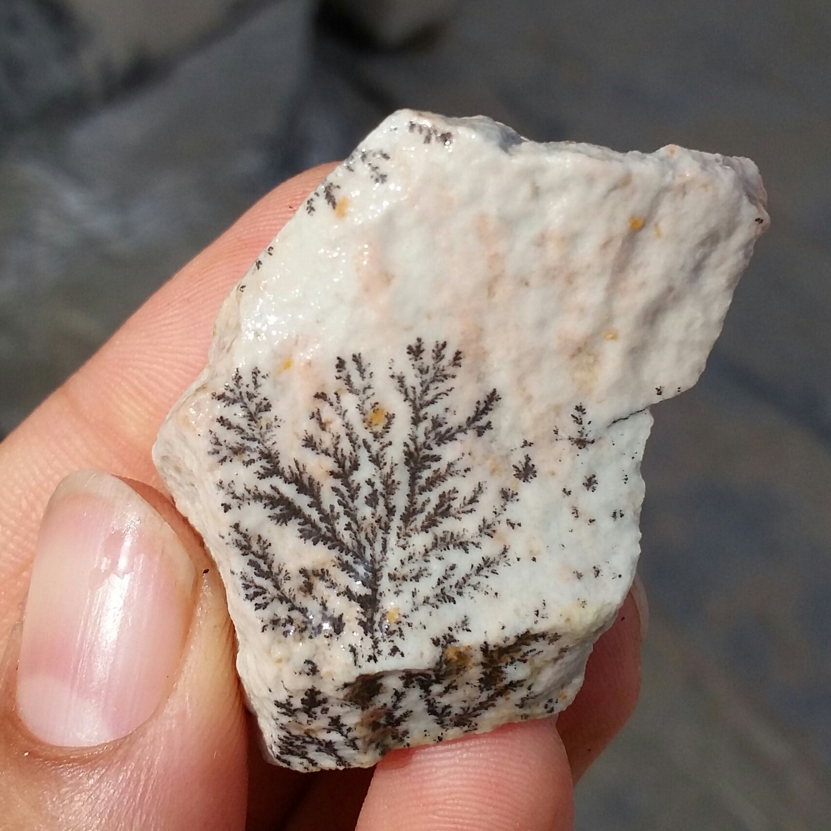 سنگ راف 100 در 100 طبیعی شجر دندریتی یا فسیلی محشر خاص شاهکار خلقت
شجر واضح خاااااااااص
کد 9652