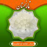 نبات شاخه ای سفید درجه 1 (320 گرمی) نارنجستان