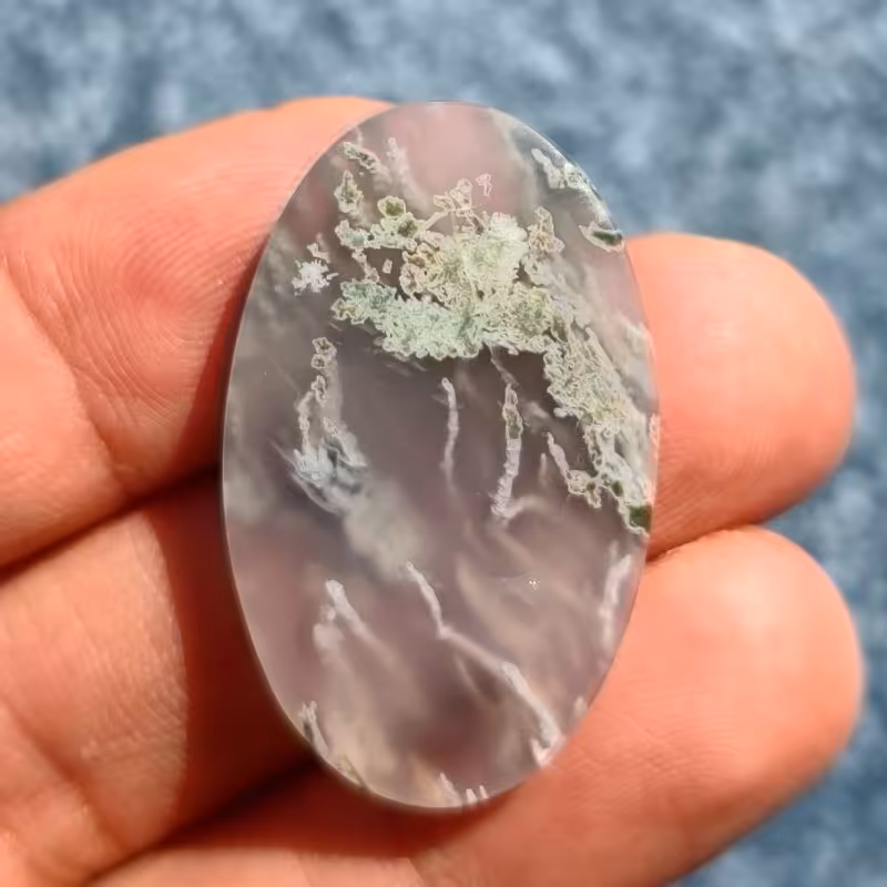 نگین عقیق شجر منظره جنگلی 1