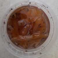 مربای شقاقل صددرصد ارگانیک