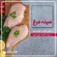 شنیسل سینه مرغ گرم