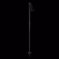 باتوم اسکی آلپاین ELAN RIPSTICKROD M 2025