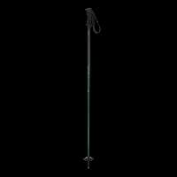 باتوم اسکی آلپاین ELAN RIPSTICKROD M 2025