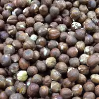 مغز فندق خام 250 گرم