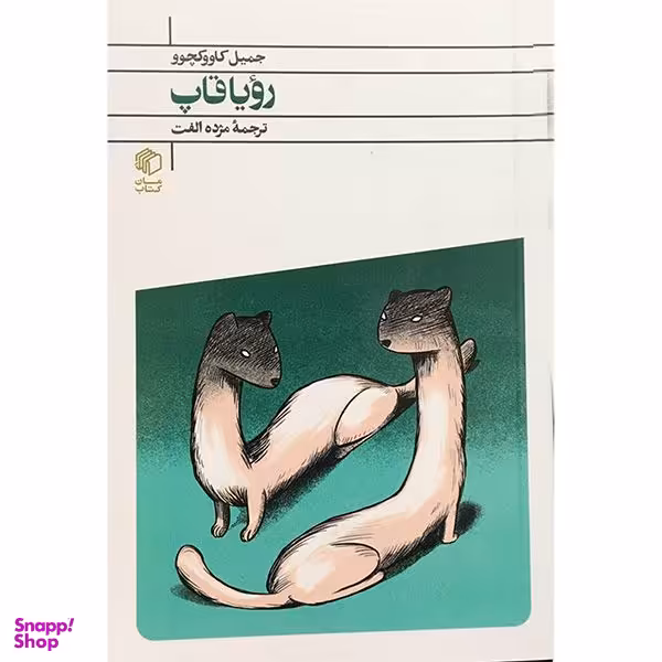 کتاب رويا قاپ اثر جميل كاووكچوو انتشارات مان كتاب