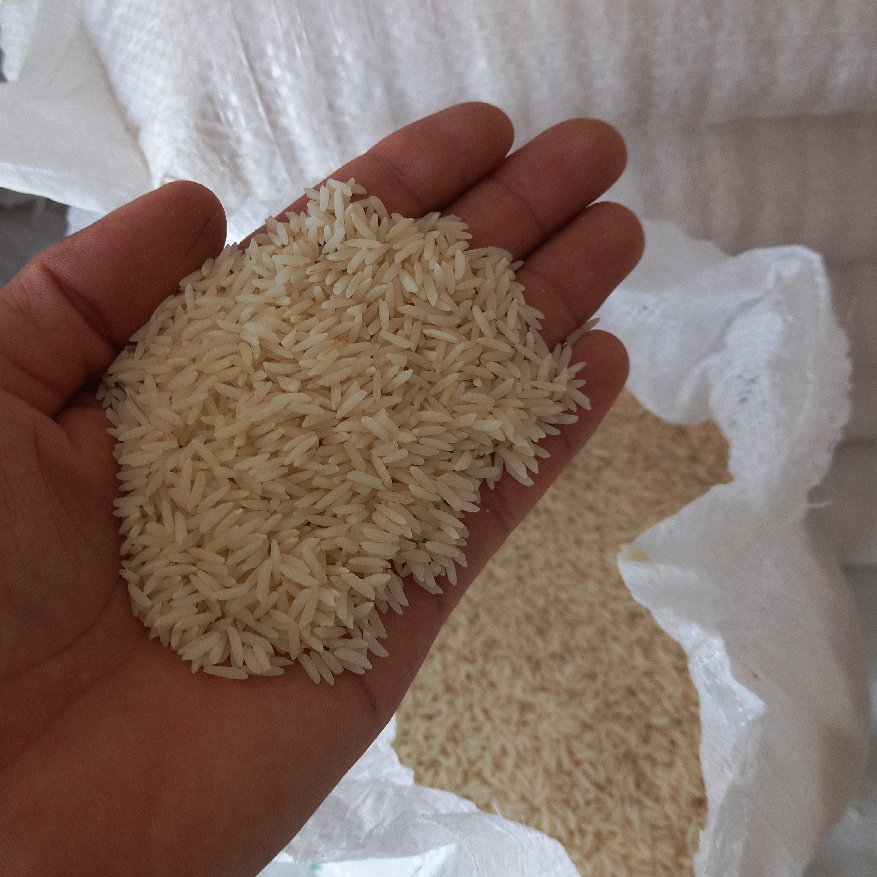 برنج هاشمی درجه 1 گیلان تالش
