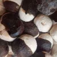 کشک و قرقوروت